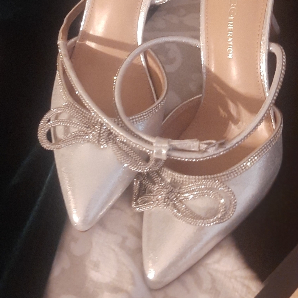 Silver Shoes